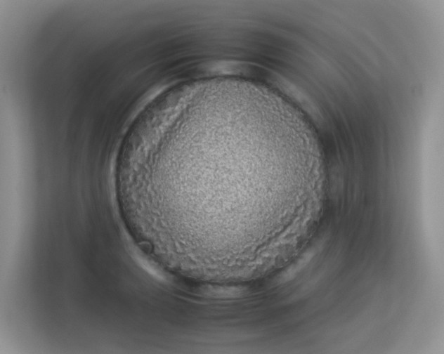 X0000113331039200909281223
