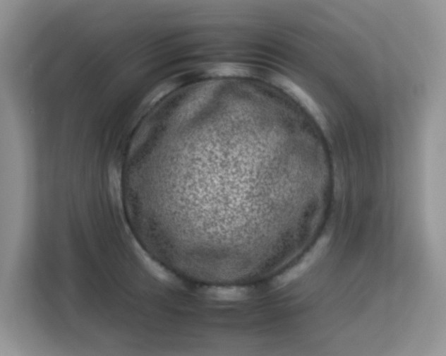 X0000113331041200909281223