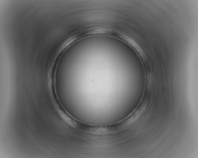 X0000113331042200909281223
