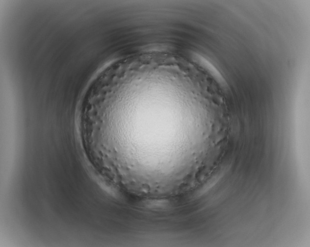 X0000113331043200909281223