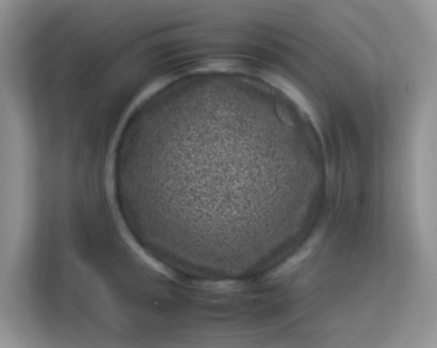 X0000113331045200909281223