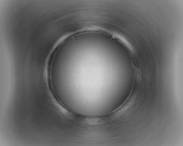 X0000113331046200909281223