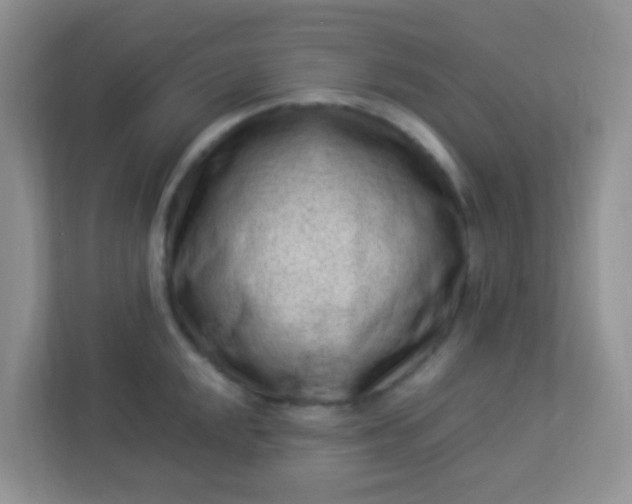 X0000113331048200909281224