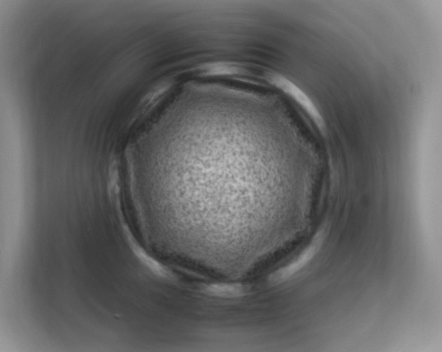 X0000113331049200909281224