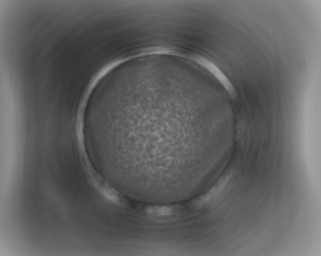 X0000113331051200909281224