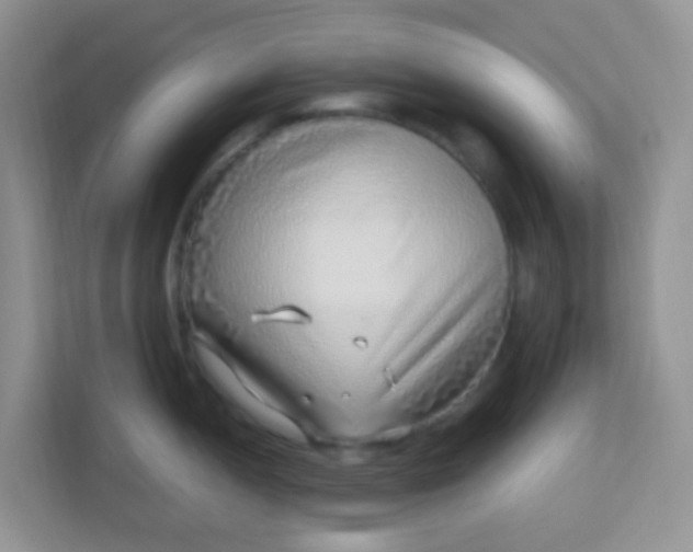 X0000113331052200909281224