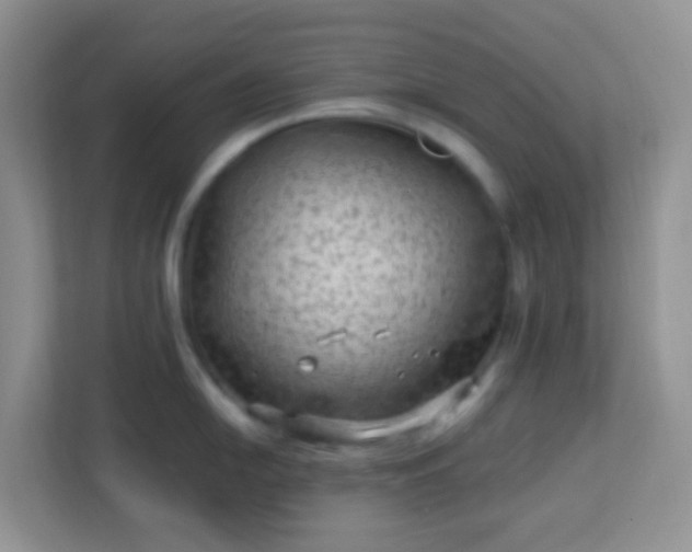 X0000113331054200909281224