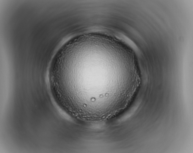 X0000113331055200909281224