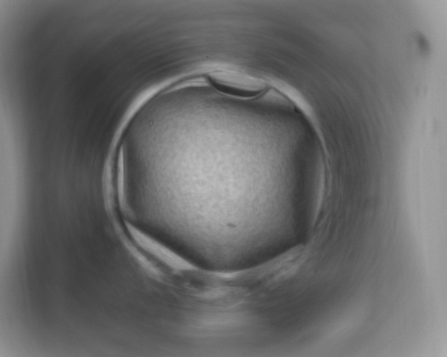 X0000113331056200909281224