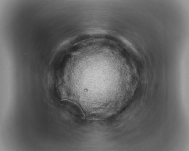 X0000113331063200909281223