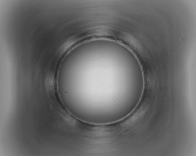 X0000113331065200909281223
