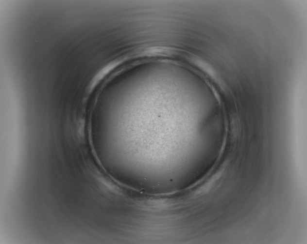X0000113331066200909281223