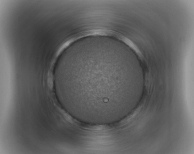 X0000113331067200909281223