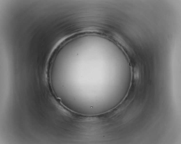 X0000113331068200909281223