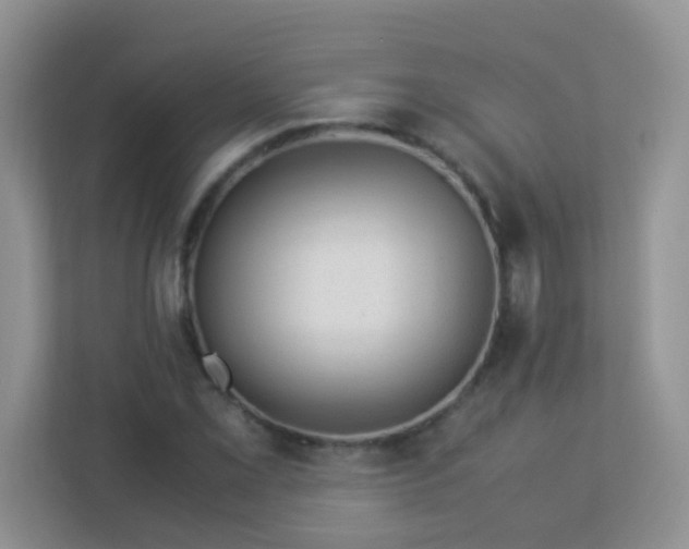 X0000113331069200909281223