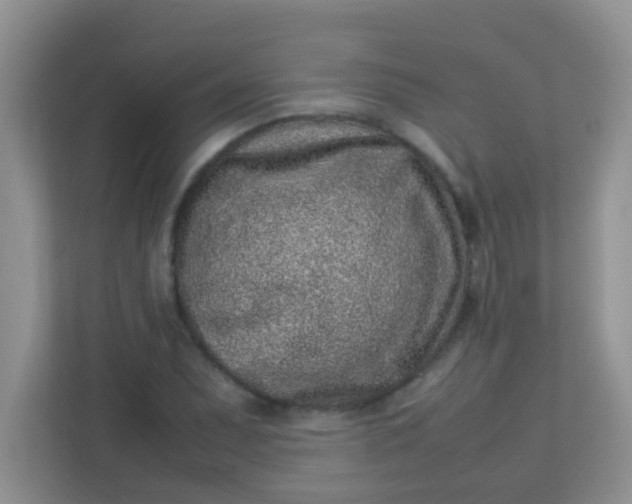 X0000113331071200909281223
