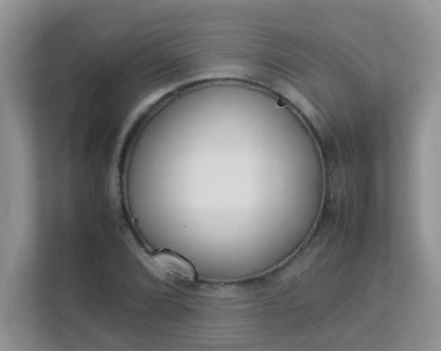 X0000113331072200909281223