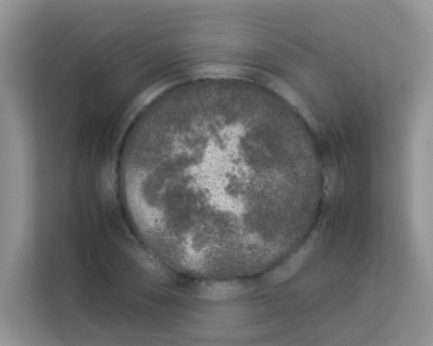 X0000113331074200909281223