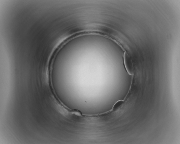 X0000113331076200909281223