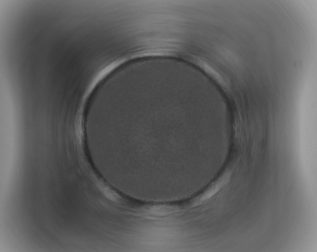 X0000113331077200909281223
