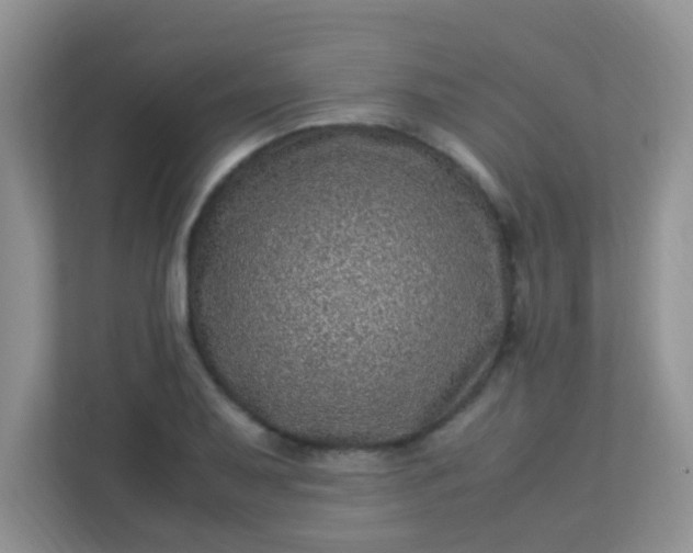 X0000113331079200909281223