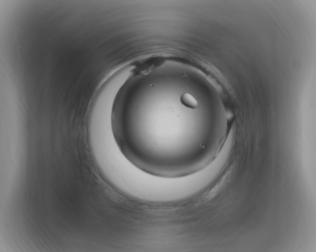X0000113331081200909281223