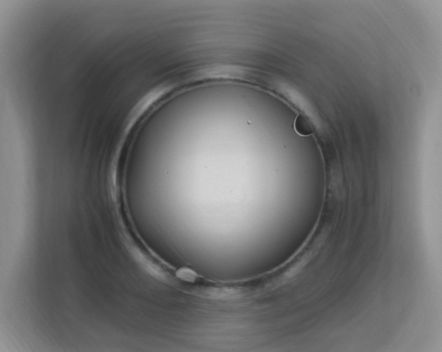 X0000113331082200909281223