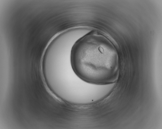 X0000113331084200909281223