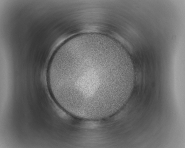 X0000113331086200909281223