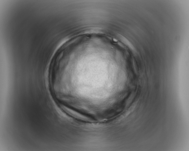 X0000113331087200909281223