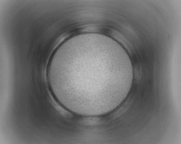 X0000113331090200909281223