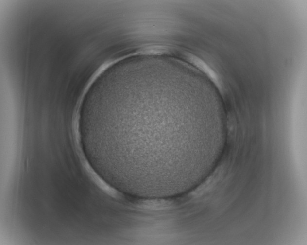 X0000113331091200909281223