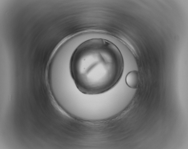 X0000113331092200909281223