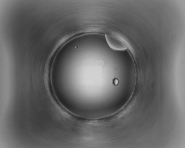 X0000113331093200909281223