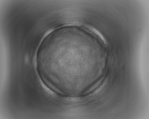 X0000113331095200909281222