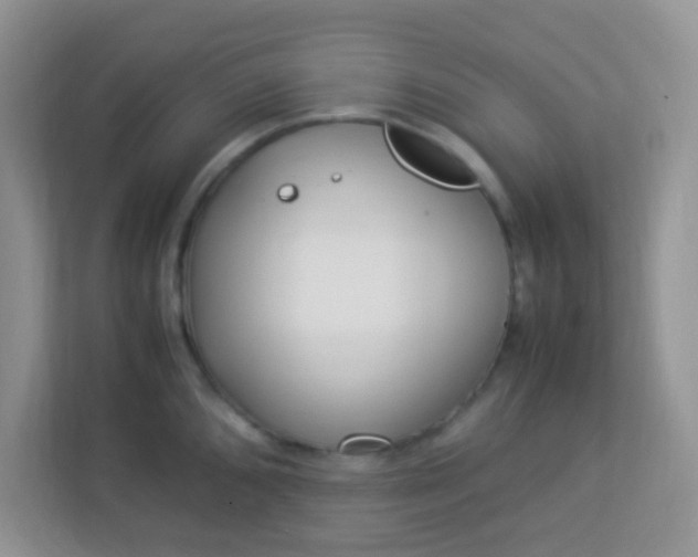 X0000113331096200909281222