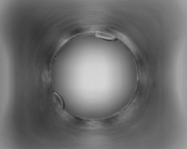 X0000113331097200909281222