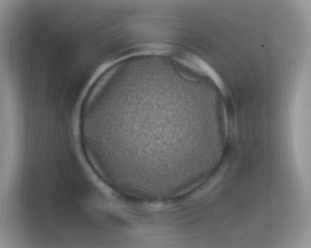 X0000113331099200909281222
