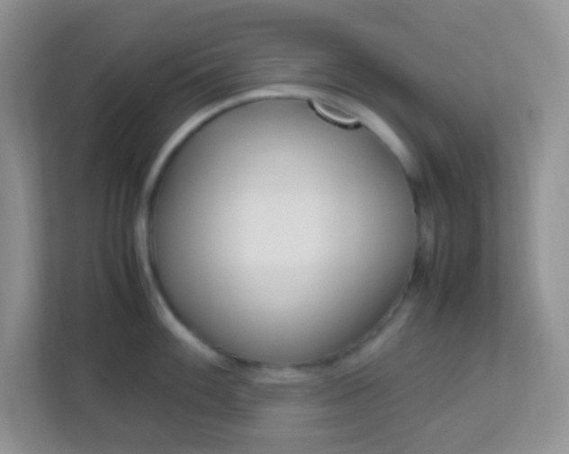 X0000113331100200909281222