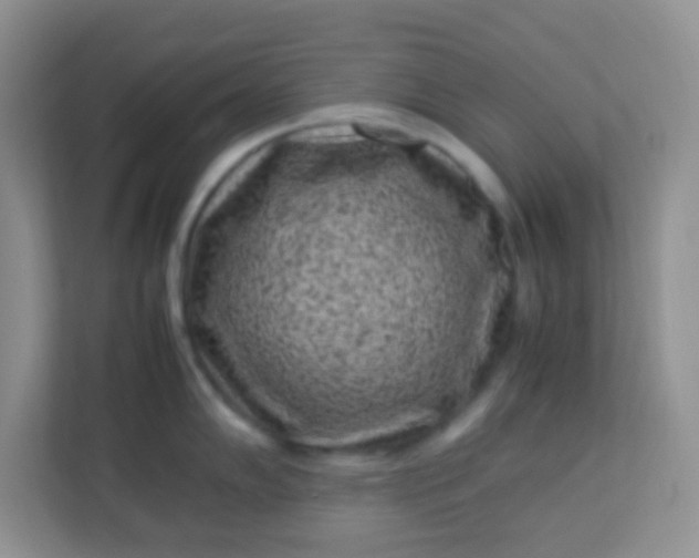 X0000113331102200909281222