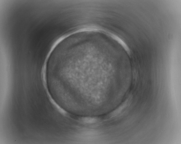 X0000113331103200909281222