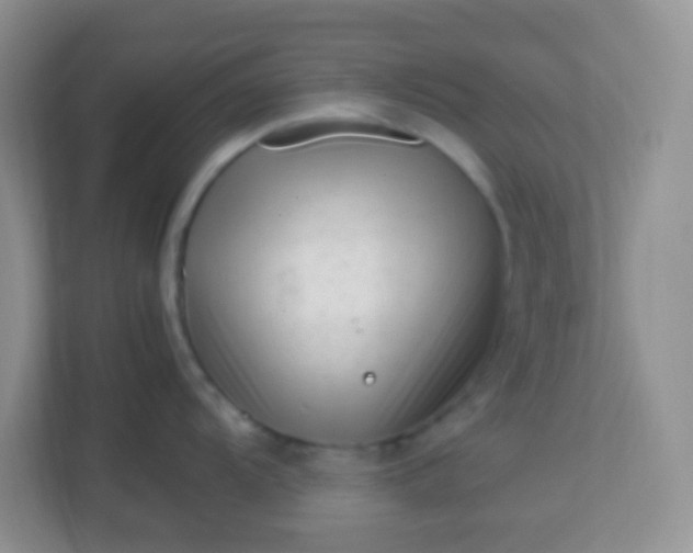 X0000113331104200909281222