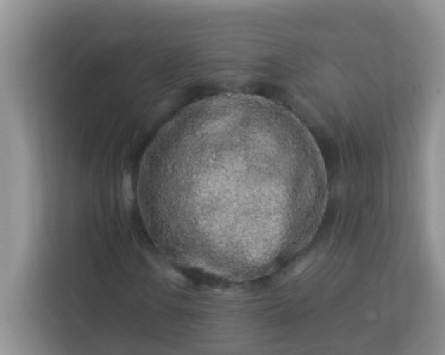 X0000113331106200909281222
