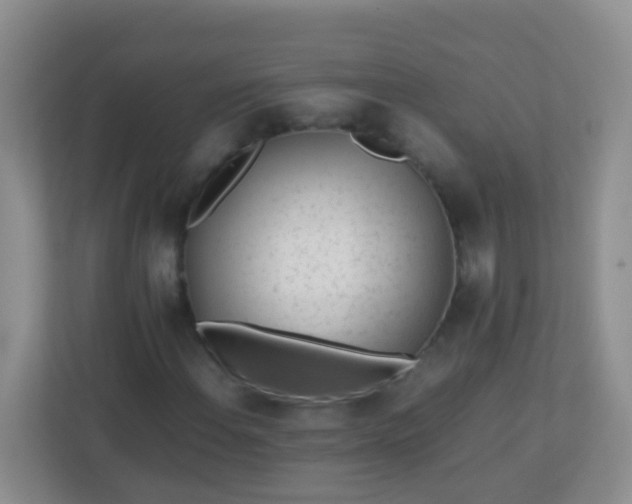 X0000113331108200909281222