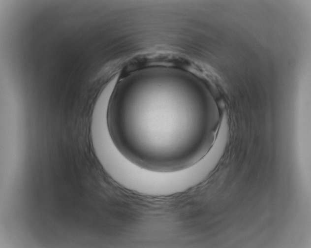 X0000113331110200909281222