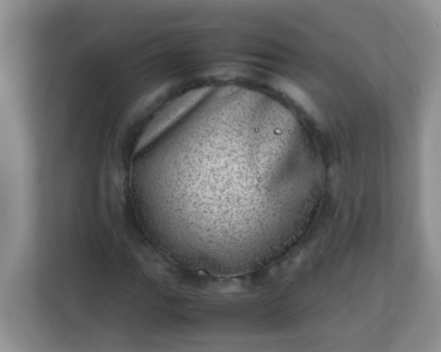 X0000113331111200909281222