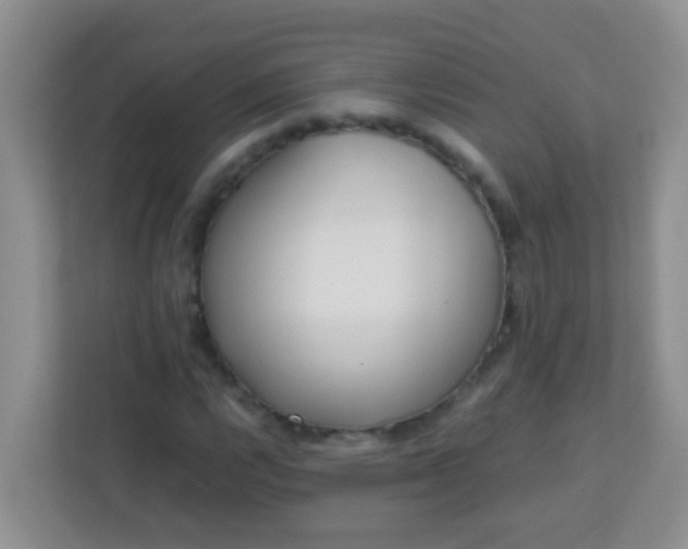 X0000113331112200909281222