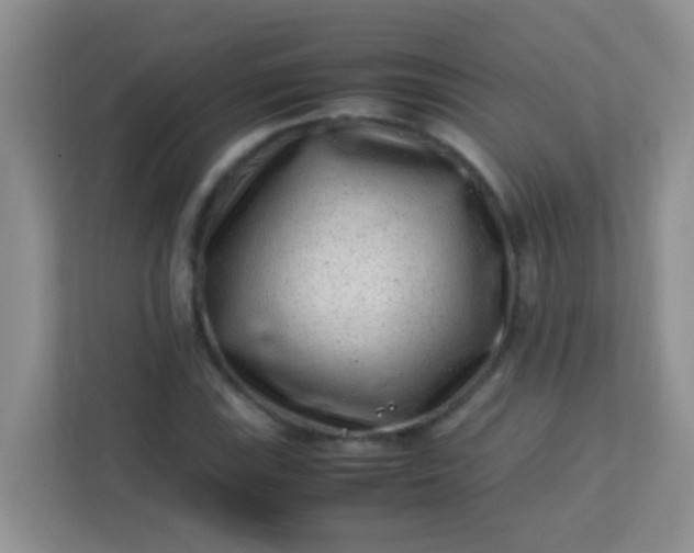 X0000113331115200909281222