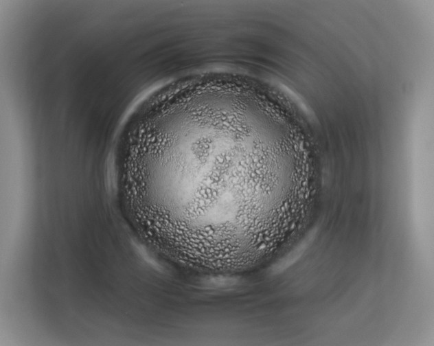 X0000113331117200909281222