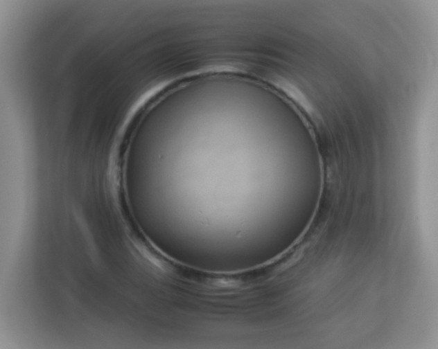 X0000113331119200909281222
